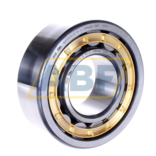 NJ2313-E-XL-M1-C4 FAG