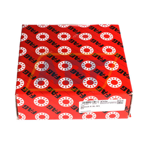 NJ2315-E-XL-M1-C3 FAG