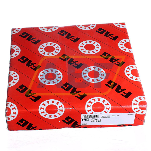 6319-2Z FAG