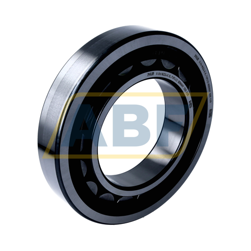 NU224-E-XL-TVP2-C3 FAG