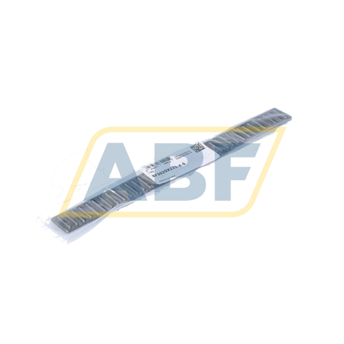 BF3020X225-4-6 INA