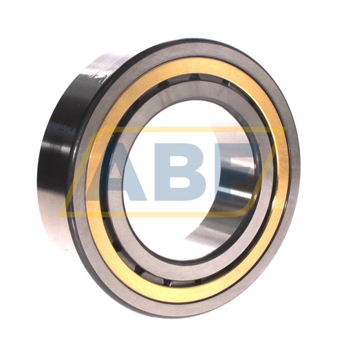 NJ2218-E-XL-MPAX-C4 FAG