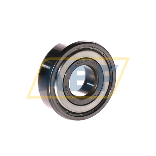 6304-ZZ Timken