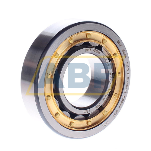 NJ309-E-XL-M1A-C3 FAG