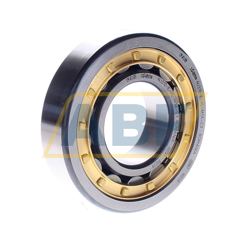 NJ310-E-XL-M1A-C3 FAG