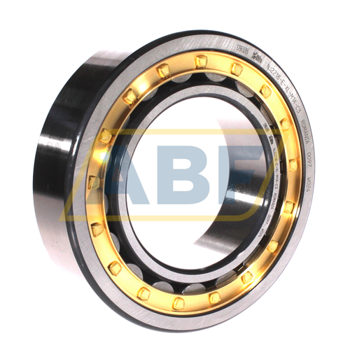 NJ2216-E-XL-M1A-C3 FAG