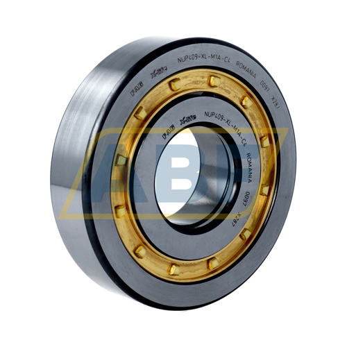 NUP409-XL-M1A-C4 FAG