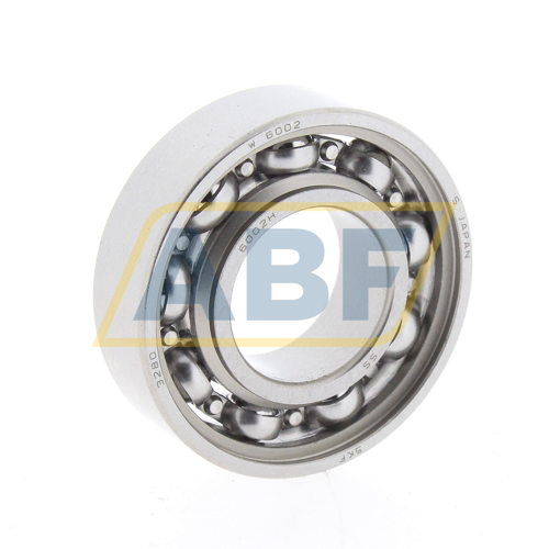 W6002 SKF