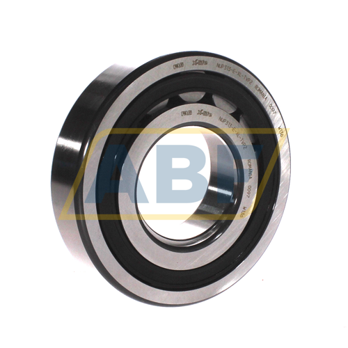 NUP313-E-XL-TVP2 FAG