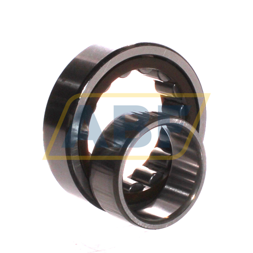 NU2209ETC3 NSK