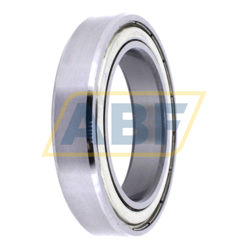 6013ZZ Neutral