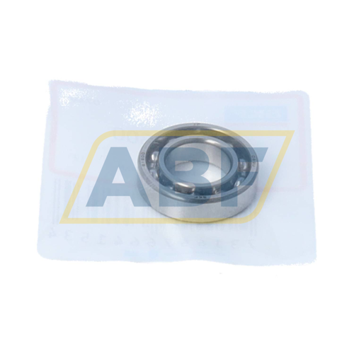 61800 SKF