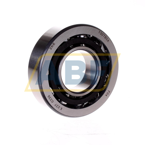 7307BGA SNR