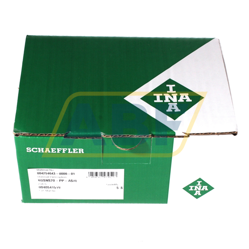 KGSNS20-PP-AS INA