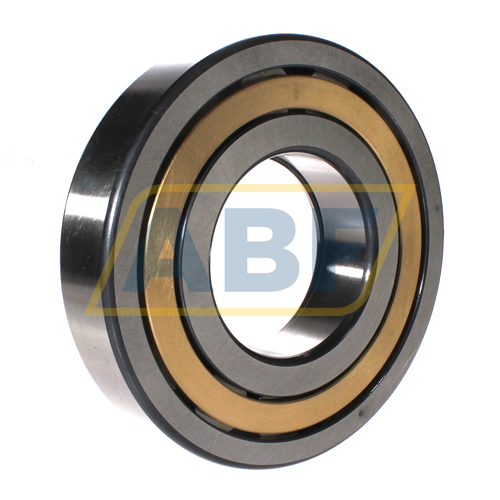 NUP320-E-XL-M1-C3 FAG