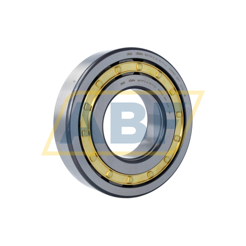 NUP319-E-XL-M1-F1-C4 FAG