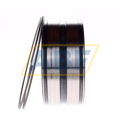 SL045020-D-PP-2NR INA