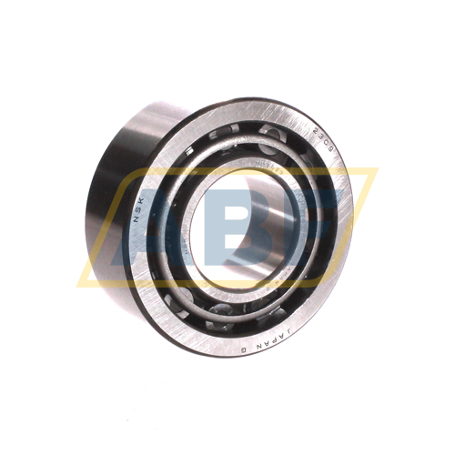NU2309W NSK