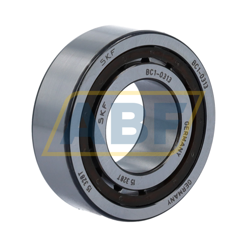 BC1-0313 SKF