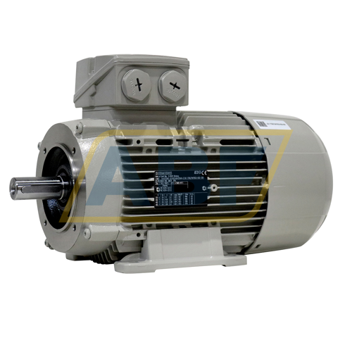 1LE1003-1AB42-2NA4-Z Siemens