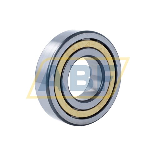 NJ310-E-XL-M1-C3 FAG