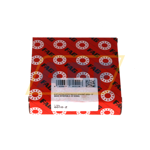 6010-Z FAG