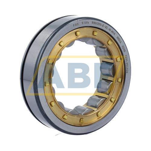 RNU309-E-XL-N-M1A FAG