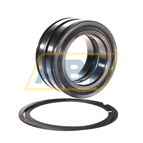 SL045013-PP-2NR-C3-L091 INA