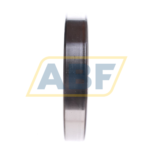 6020-2RS1 SKF