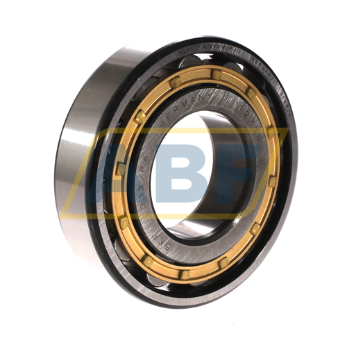 N312M/P63 SKF