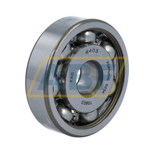 6403 FAG