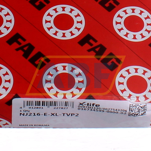 NJ216-E-XL-TVP2 FAG