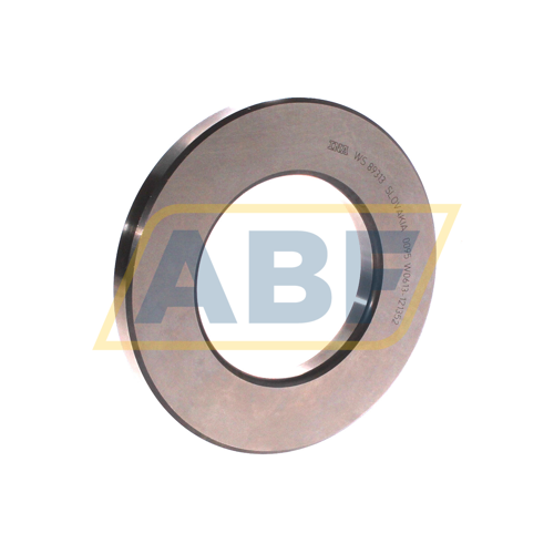 WS89313 INA
