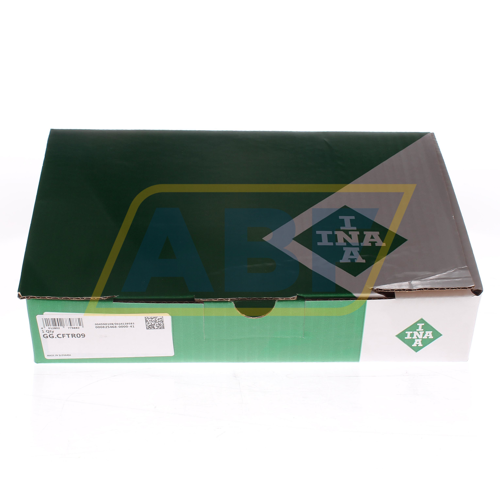 GG.CFTR09 INA