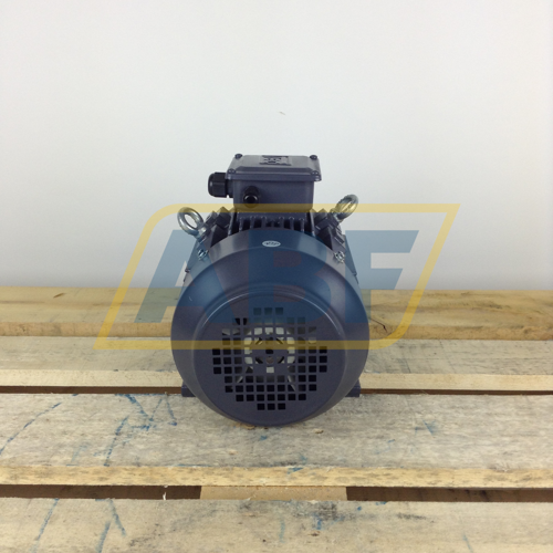 T2CR100L2-4B3 TEC Electric Motors