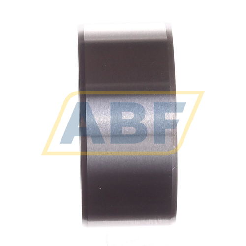 IR50X55X25 INA