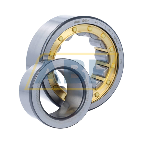 NJ2310-E-XL-M1A-C3 FAG