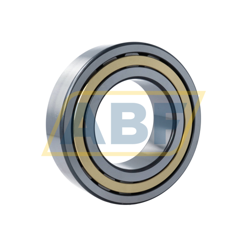 NJ2220-E-XL-M1-C4 FAG