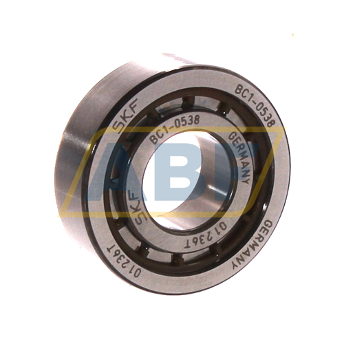BC1-0538 SKF