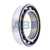6010 SKF