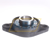 UCFL313 Felstrom