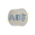 BK1616 SKF