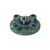 UCFC204 FSY