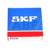 6007-2RS1NR SKF