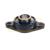 UCFL209-28 Felstrom