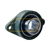 UCFL218 FSY