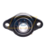 UCFL310 Felstrom