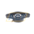 UCFL203 Felstrom