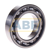 6009 SKF