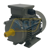 JL1-802-4-B3 JinLong Electrical Machinery